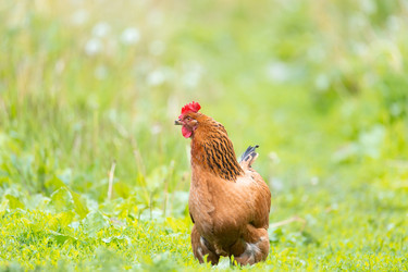 Similar image 22081798