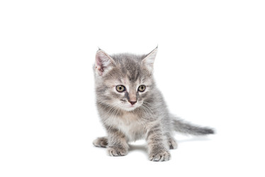 Similar image 22081801