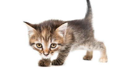 Similar image 22081809