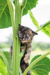 Similar image 22081810