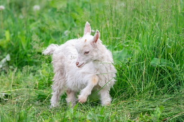 Similar image 22081812