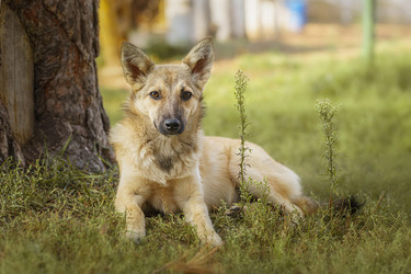 Similar image 22081822