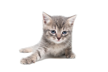 Similar image 22081832