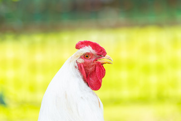 Similar image 22082173