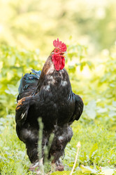 Similar image 22082175