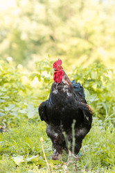 Similar image 22082176