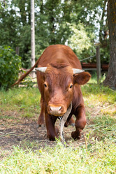 Similar image 22079980