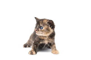 Similar image 22079982