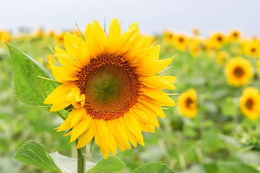 Similar image 22079983