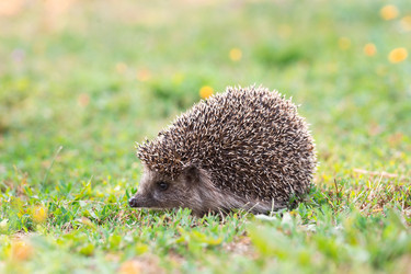 Similar image 22080005