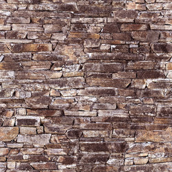 Similar image 22080011