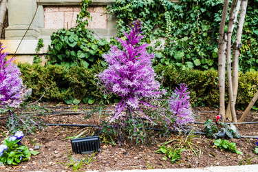 Similar image 22084144