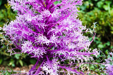 Similar image 22084145