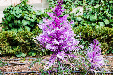 Similar image 22084146