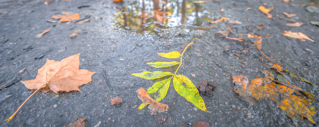 Similar image 22080193