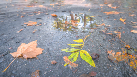 Similar image 22080194