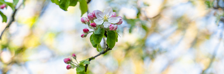 Similar image 22080195