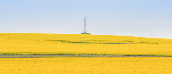 Similar image 22080196