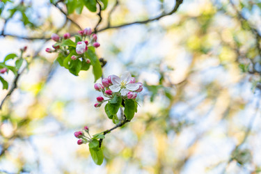 Similar image 22080197