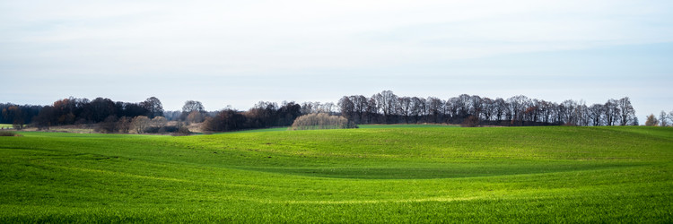 Similar image 22080198