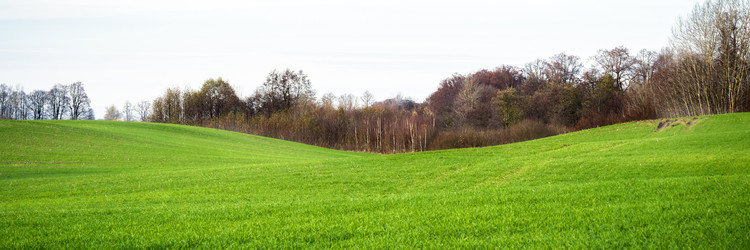 Similar image 22080199