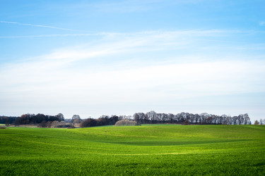 Similar image 22080200