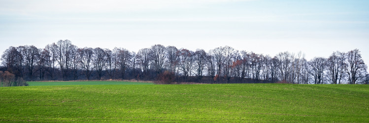 Similar image 22080201