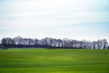 Similar image 22080202