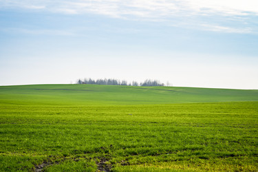 Similar image 22080206