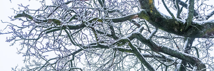 Similar image 22080207