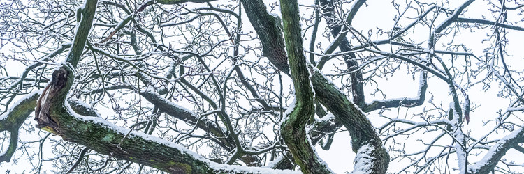 Similar image 22080208