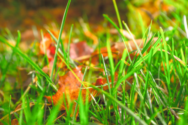 Similar image 22080210