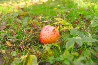 Similar image 22080211