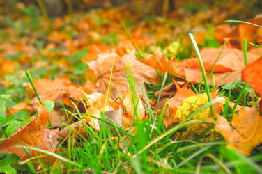 Similar image 22080212