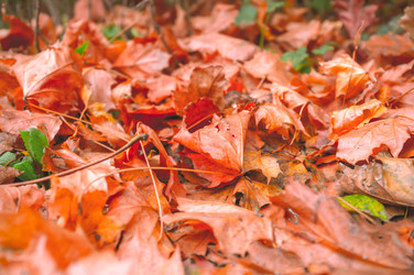 Similar image 22080213