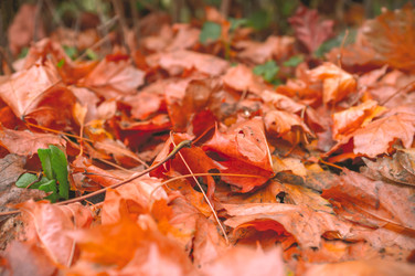 Similar image 22080214