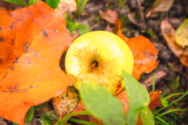 Similar image 22080217