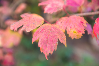 Similar image 22080218