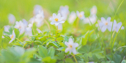 Similar image 22080220