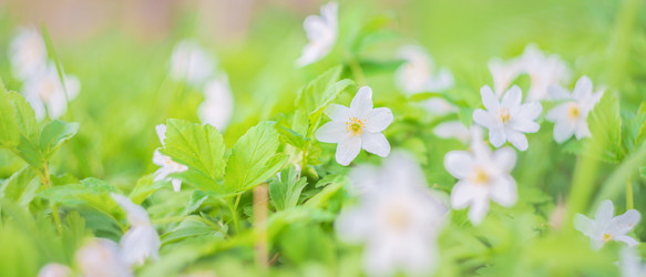 Similar image 22080221