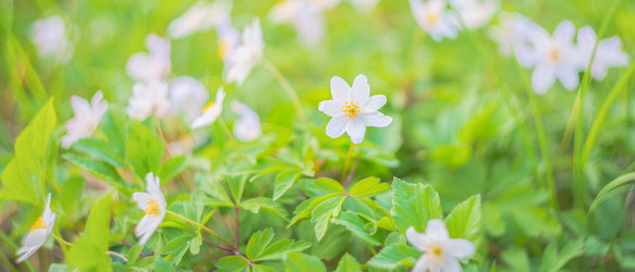 Similar image 22080222