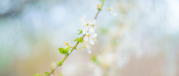 Similar image 22080223