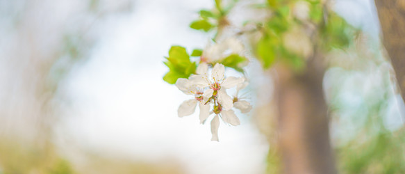 Similar image 22080224