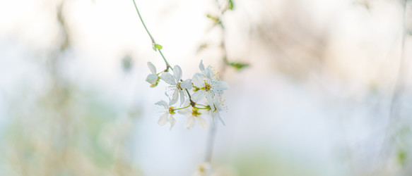 Similar image 22080226