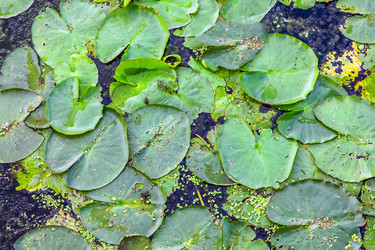 Similar image 22080228