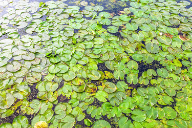 Similar image 22080229