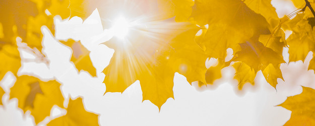 Similar image 22080231