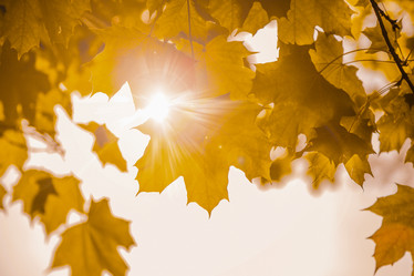 Similar image 22080232