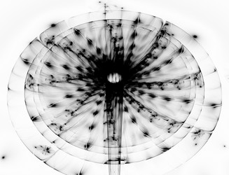 Similar image 22083871