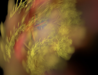 Similar image 22083880